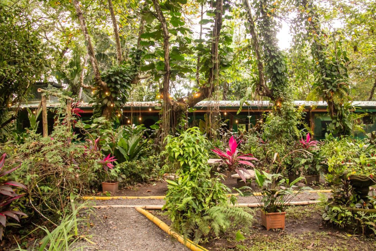 La Palapa Hut Nature Hostel Puerto Jiménez Eksteriør bilde