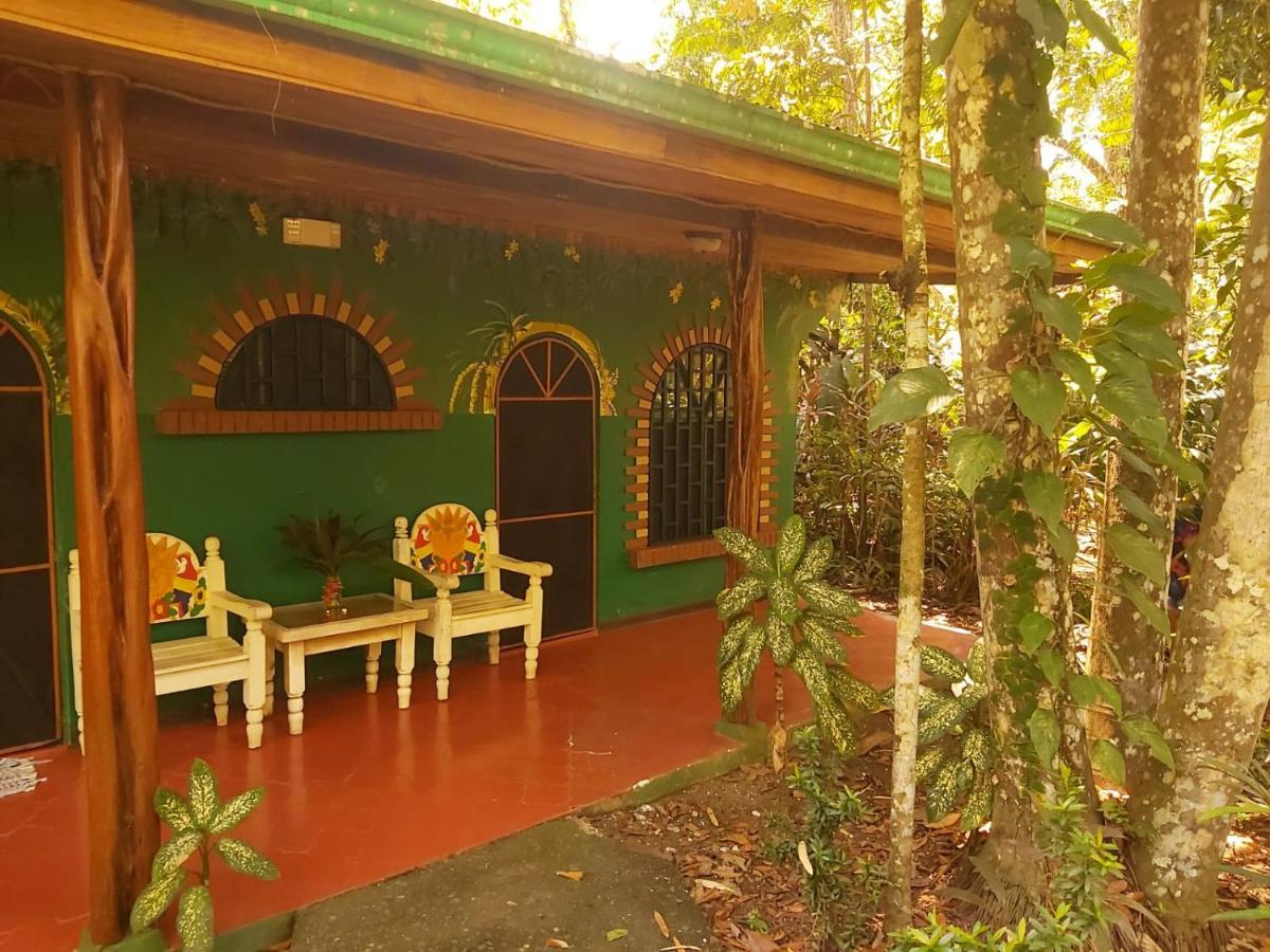 La Palapa Hut Nature Hostel Puerto Jiménez Eksteriør bilde